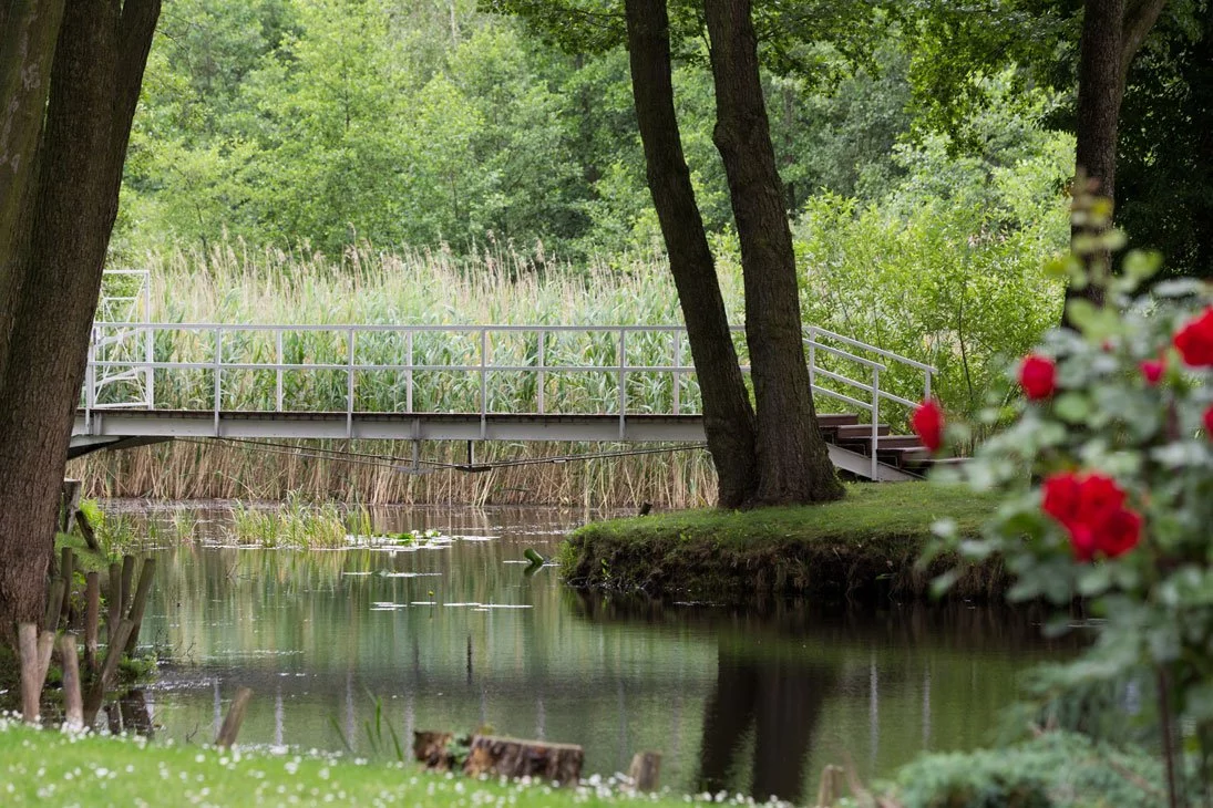 Kleine Brücke über einen Teich in der Seelodge Kremmen, umgeben von Bäumen und Schilf, mit roten Rosen im Vordergrund.